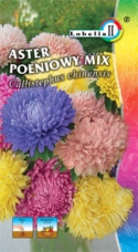 Aster peoniowy mix